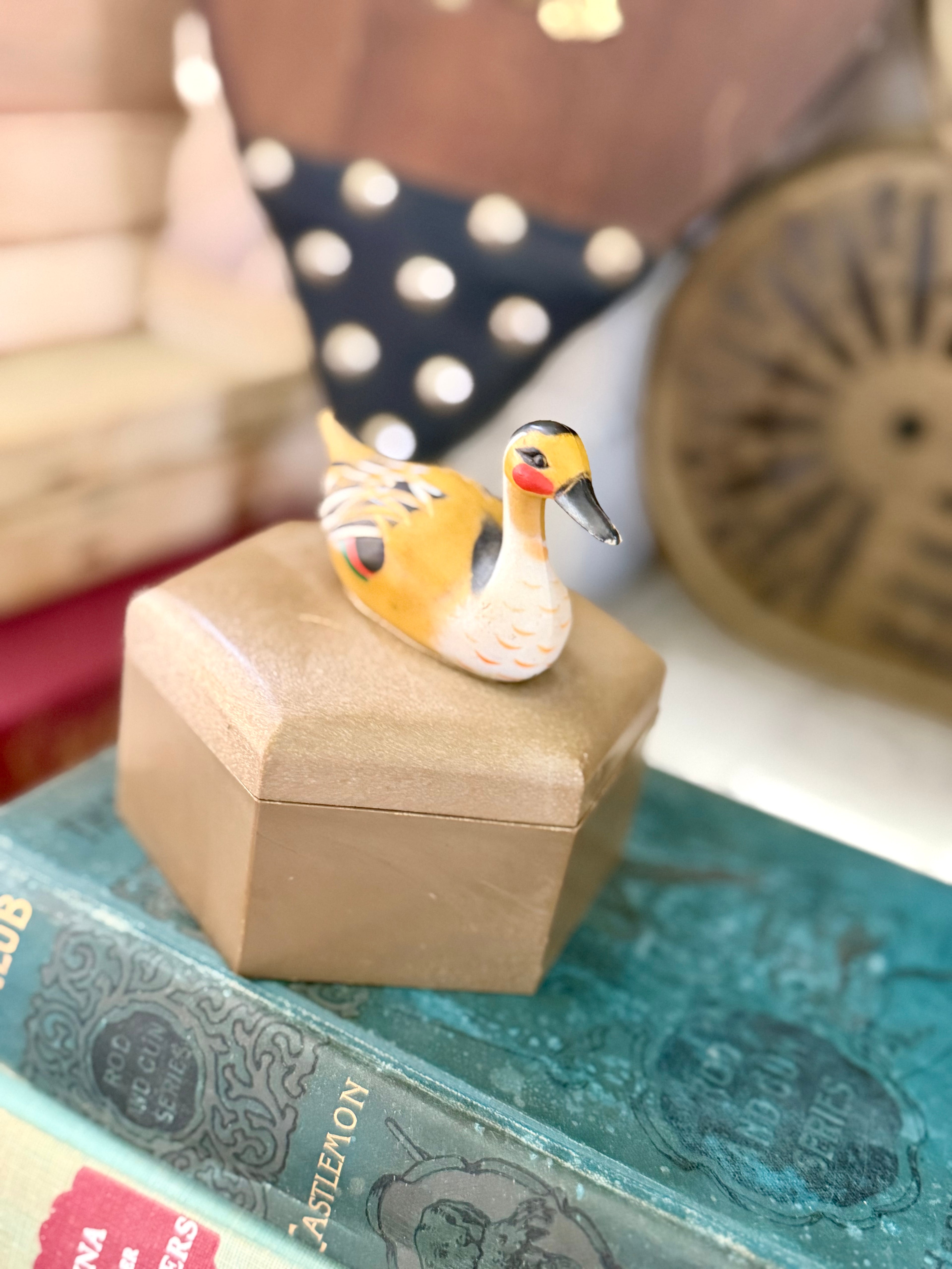 Duck Box